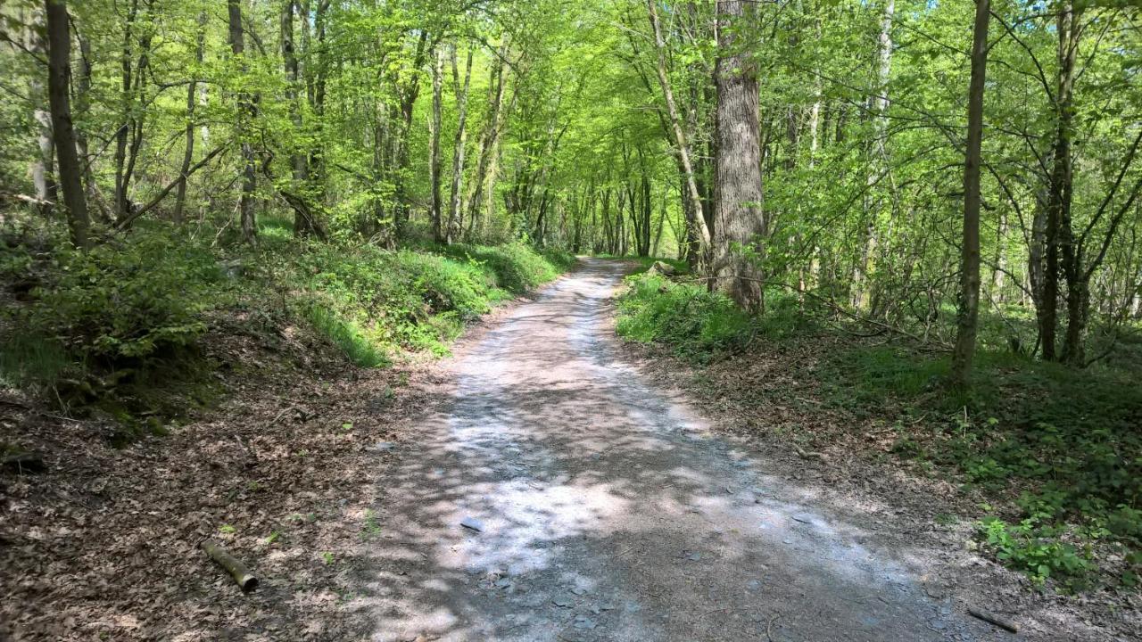 Appartamento La Lisière Revin  Esterno foto